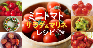 ミニトマトサラダ＆マリネレシピまとめ