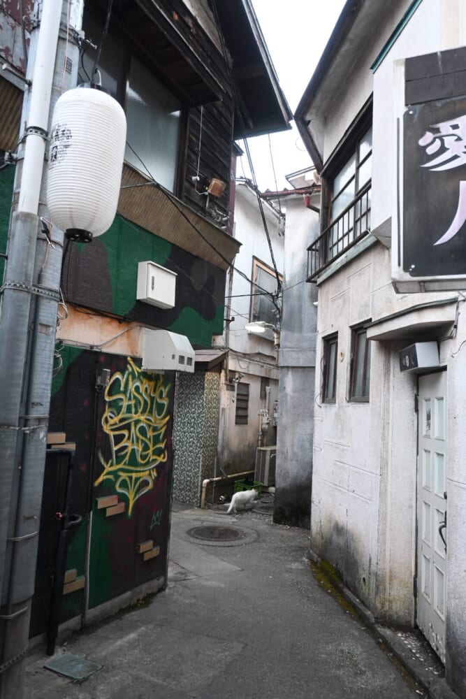 山梨 富士吉田 西裏16