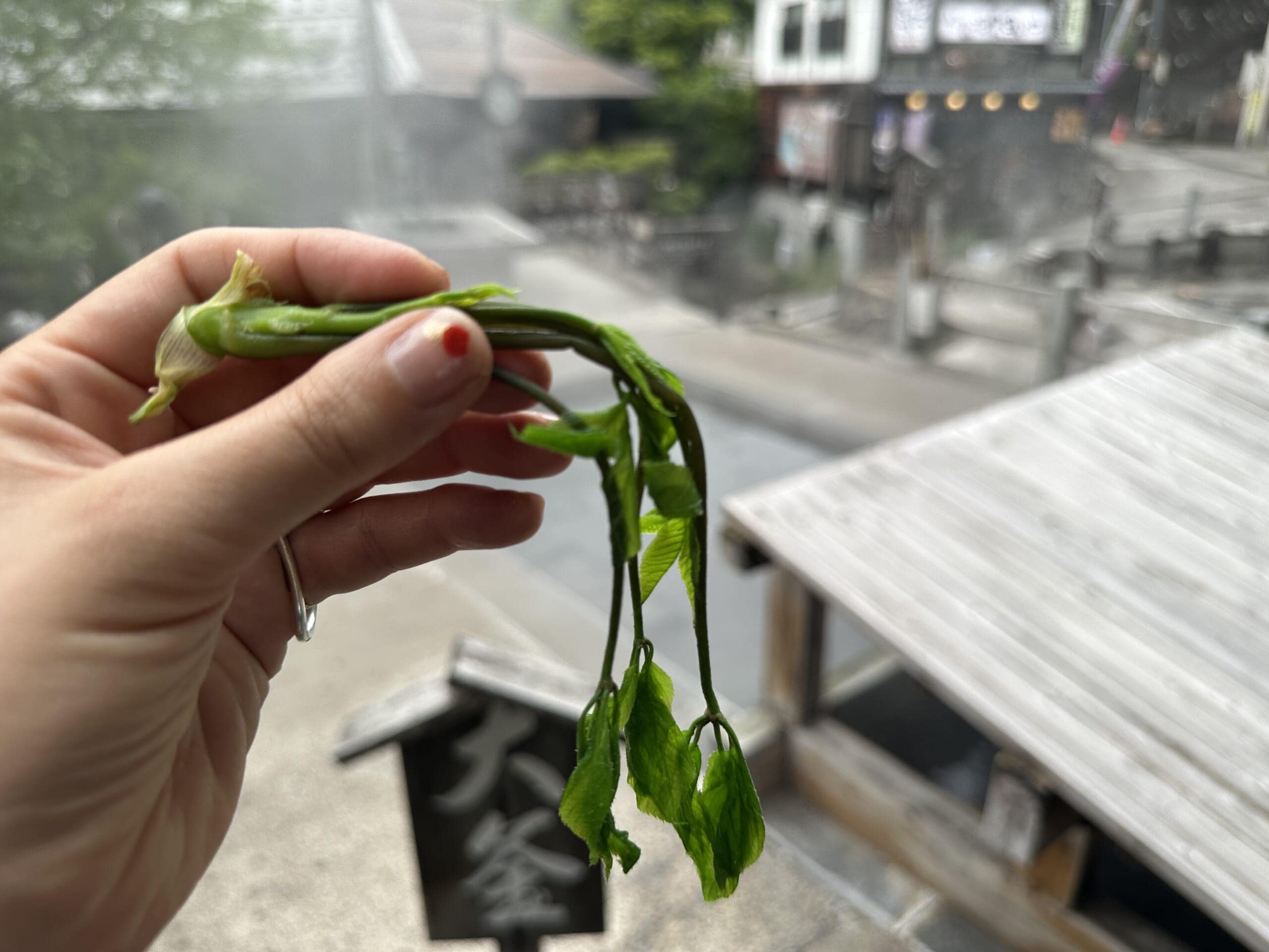 麻釜で茹でた山菜