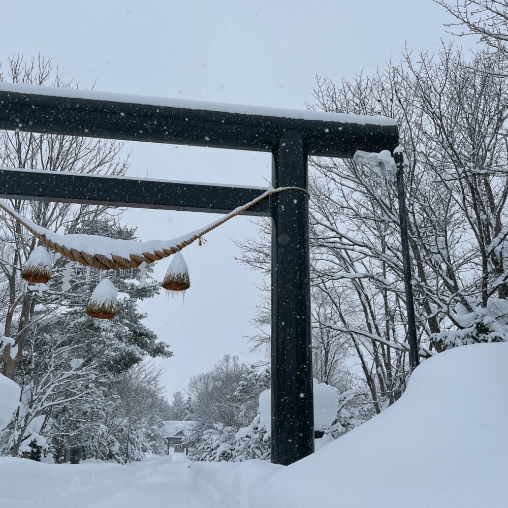 ニセコ町 狩太神社 森