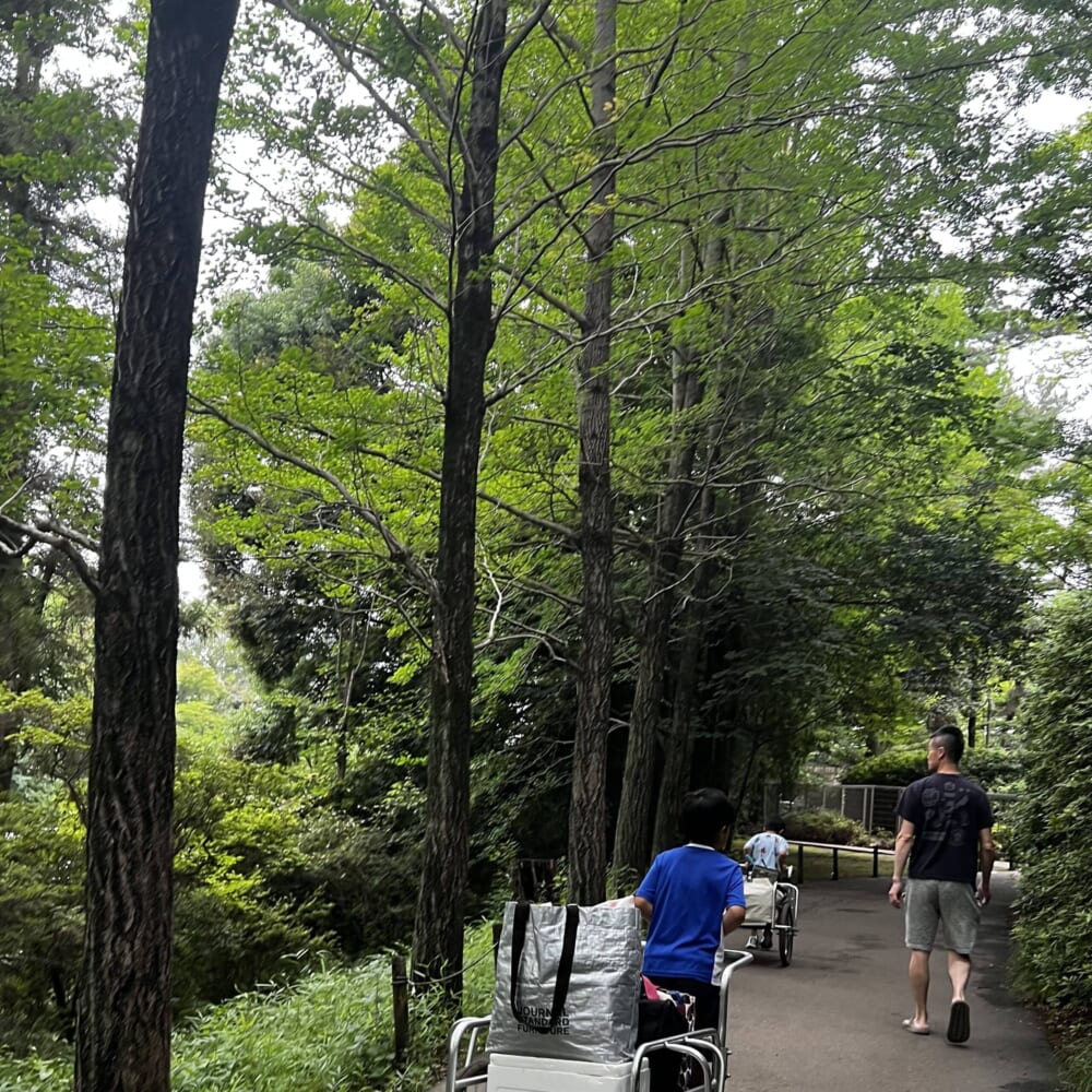 清水公園 キャンプ場