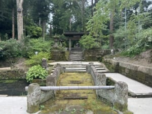 【北鎌倉】3時間で楽しむLEE世代の鎌倉さんぽ【浄智寺/VERVE CAFES/マヤノカヌレ】② TB icoco