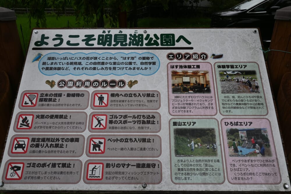 山梨　蓮池　明見湖2