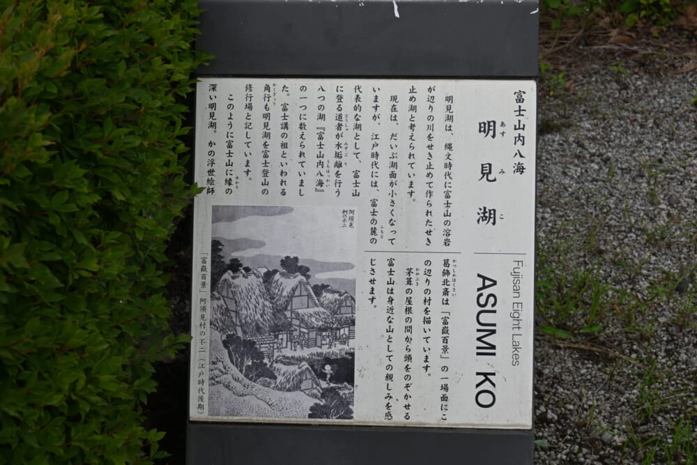 山梨　蓮池　明見湖24