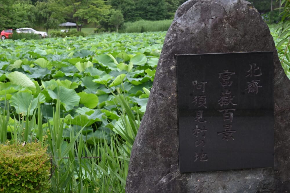 山梨　蓮池　明見湖6