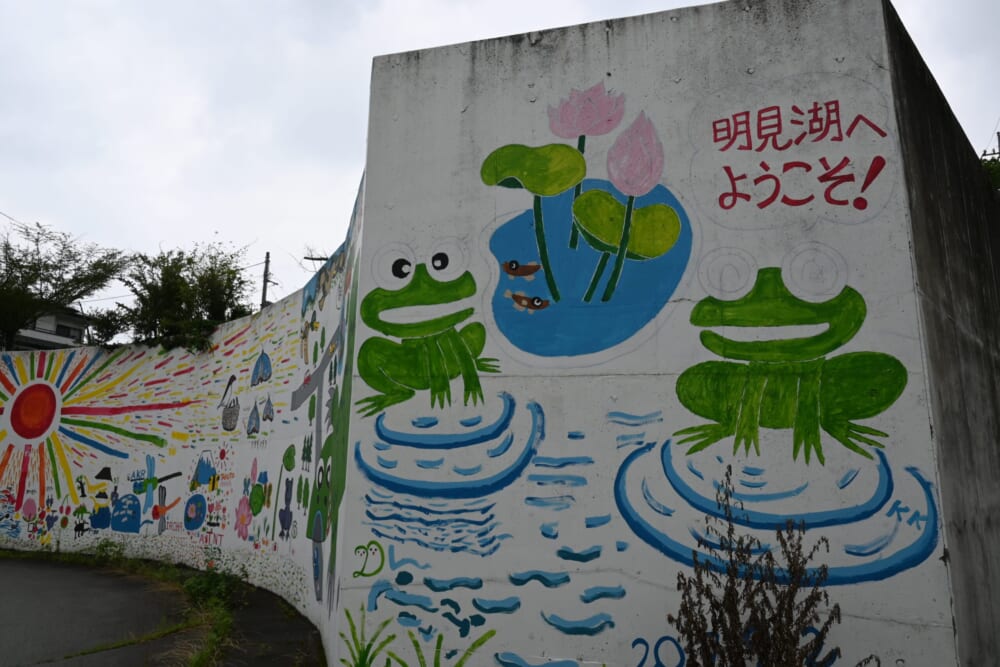 山梨　蓮池　明見湖　