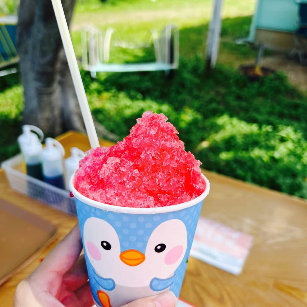 3世代旅行 静岡県 伊豆 海 熱帯魚 深田クリスタルビーチ 海の家