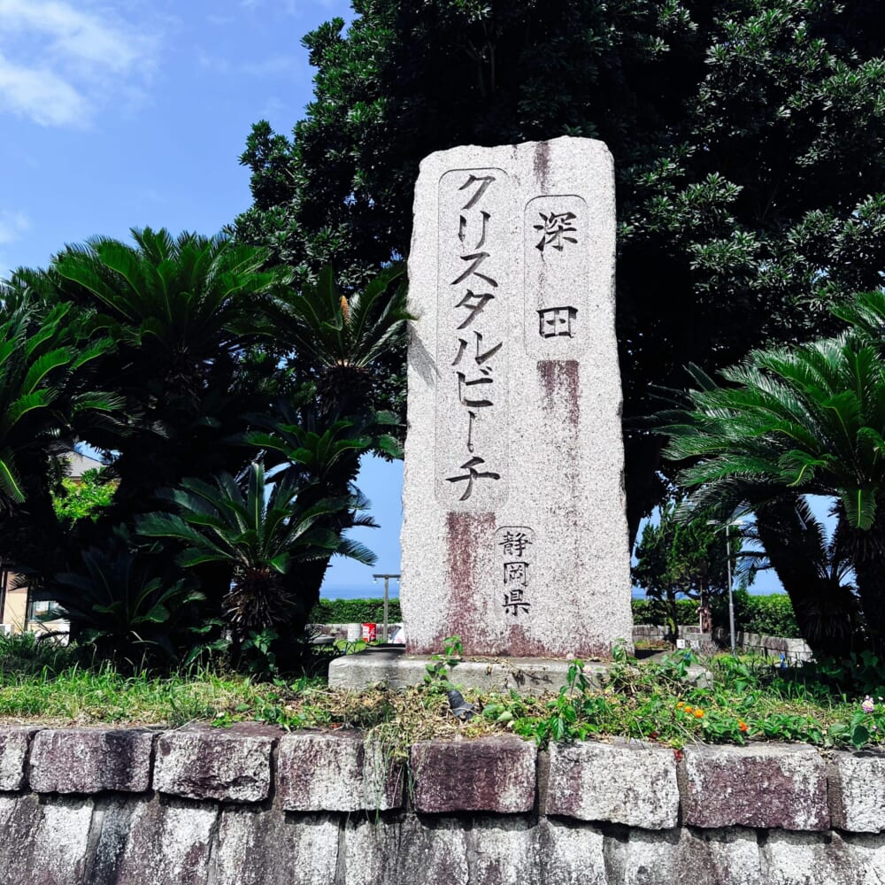 3世代旅行 静岡県 伊豆 海 熱帯魚 深田クリスタルビーチ 海の家