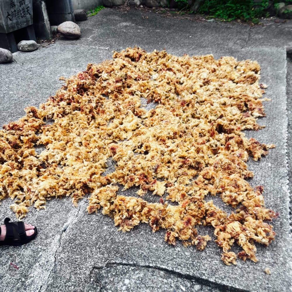 3世代旅行 静岡県 伊豆 海 熱帯魚 ところてん