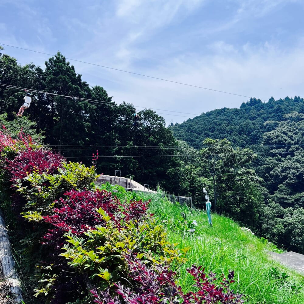 静岡県三島市　三島スカイウォーク　森のアスレチック【フォレストアドベンチャー】　ロングジップスライド