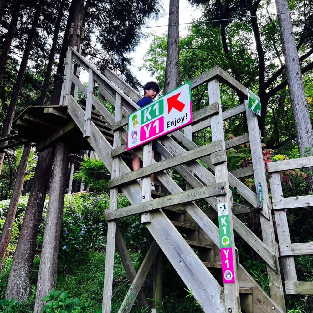 静岡県三島市　三島スカイウォーク　森のアスレチック【フォレストアドベンチャー】　ロングジップスライド