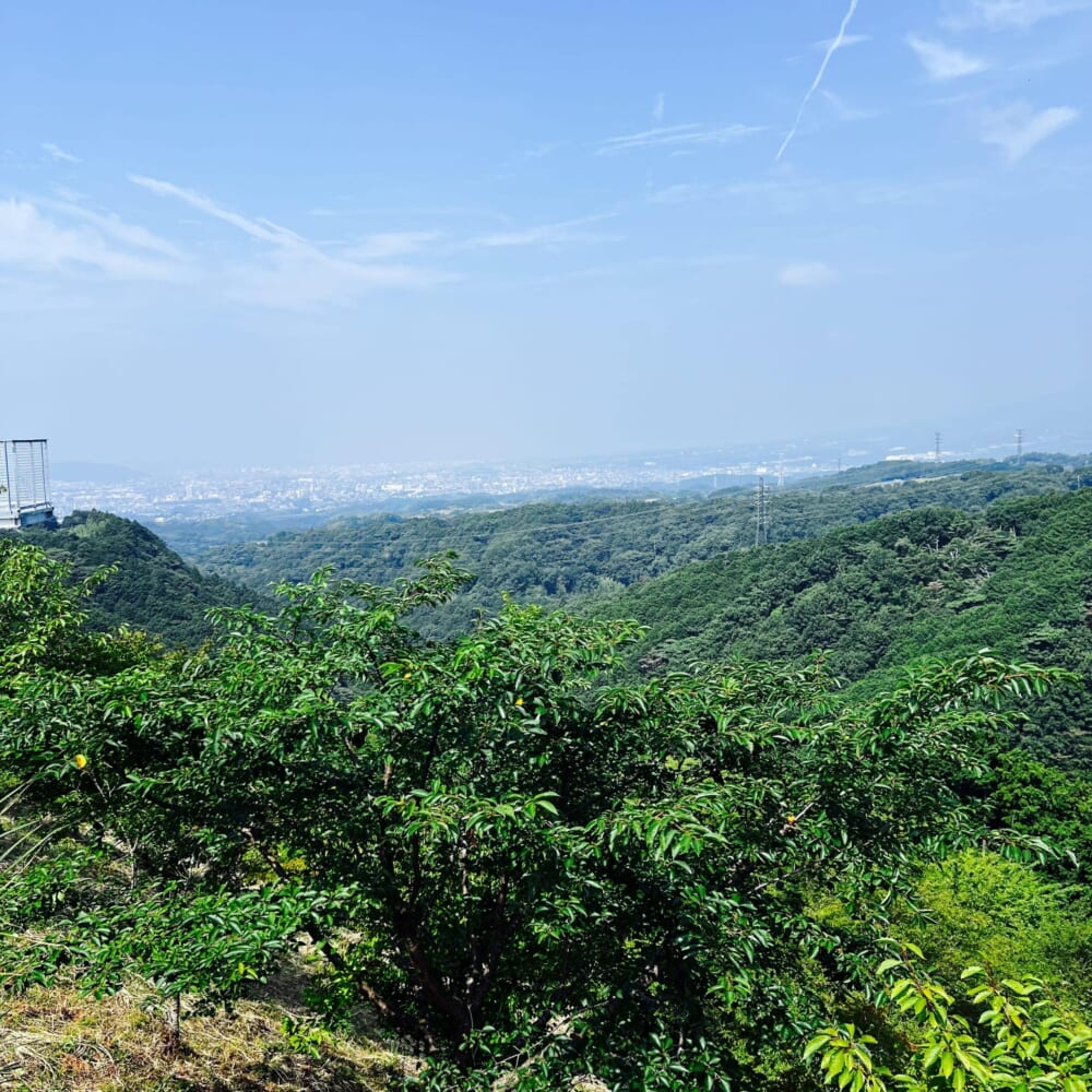 静岡県三島市　三島スカイウォーク