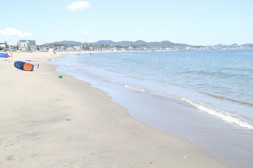 三浦海岸 ビーチコーミング