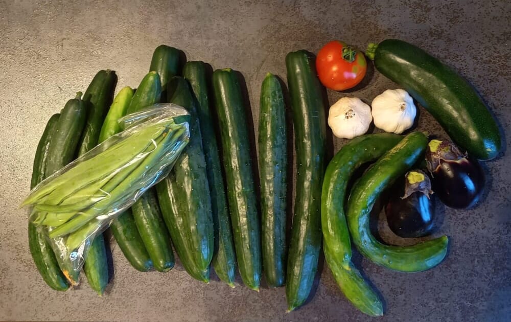季節の野菜 夏