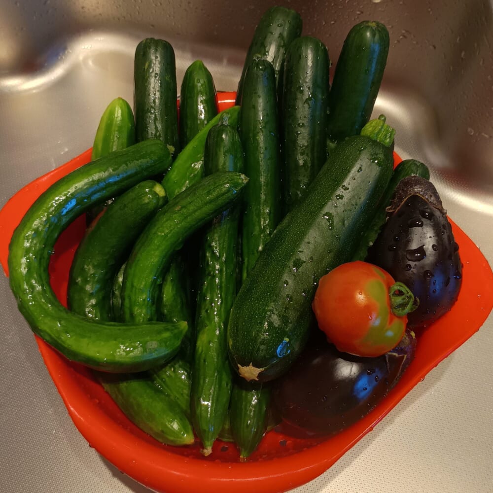 季節の野菜 夏