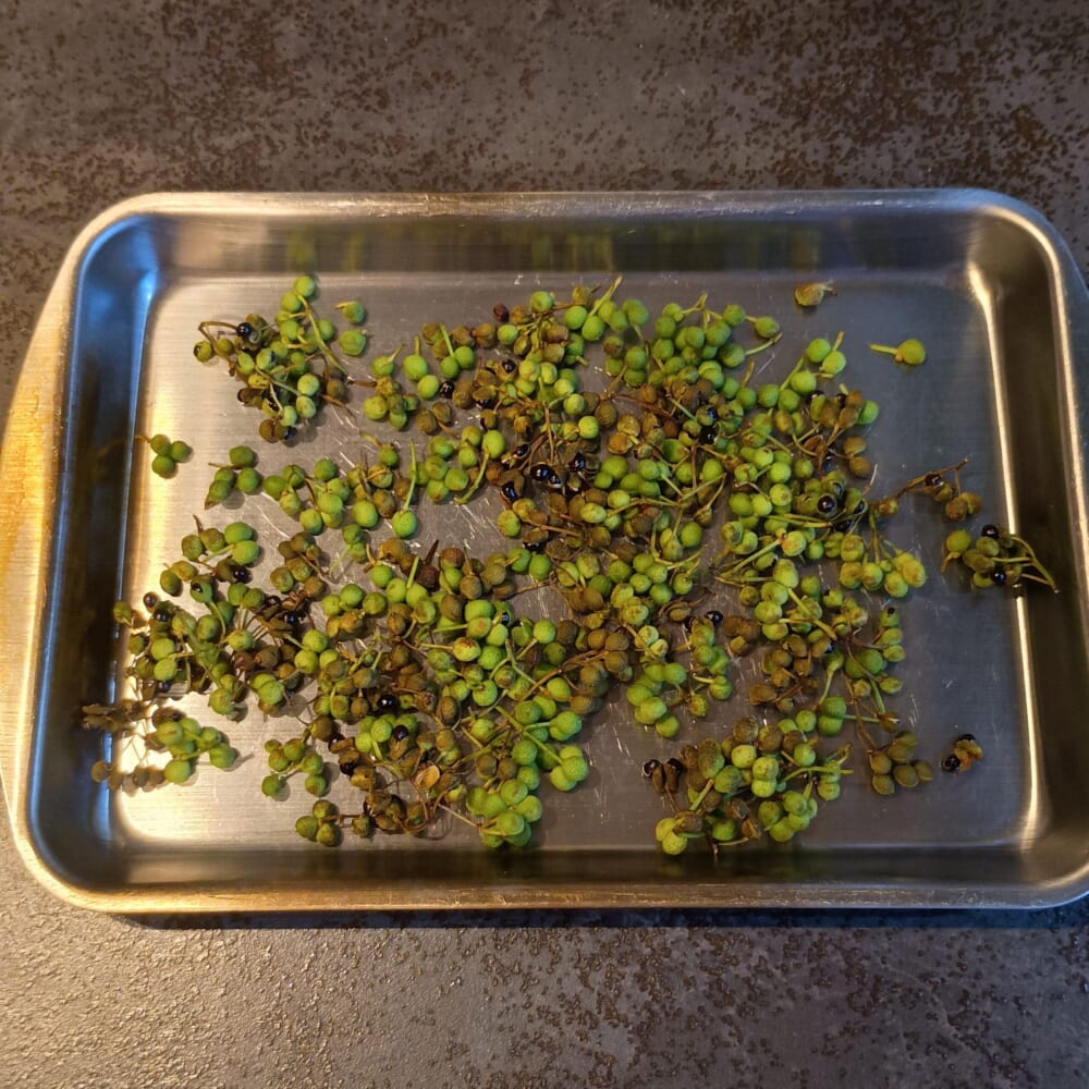 季節 食 手仕事 山椒12
