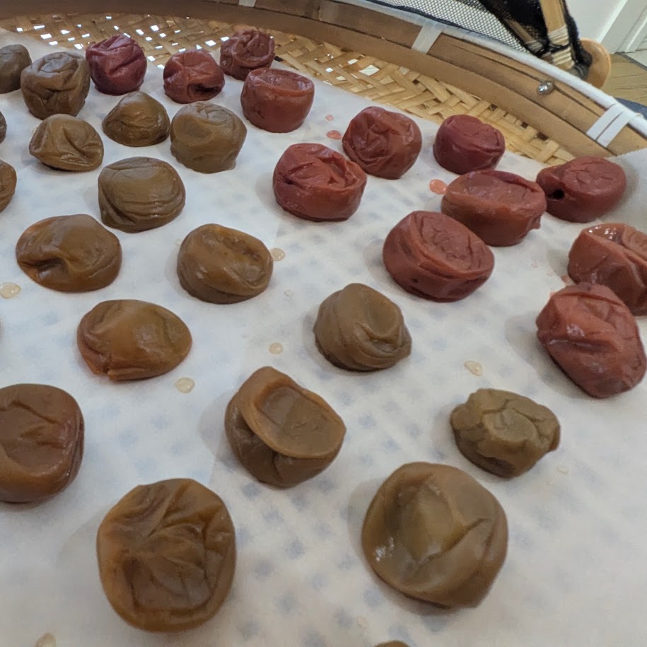 梅干し作り 露茜 南高梅