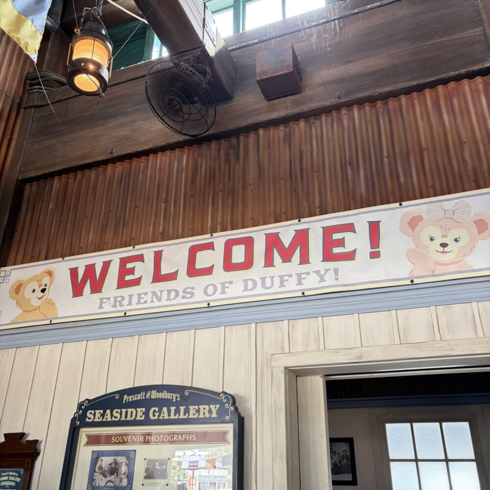 ディズニーシー 夏休み シェリーメイ