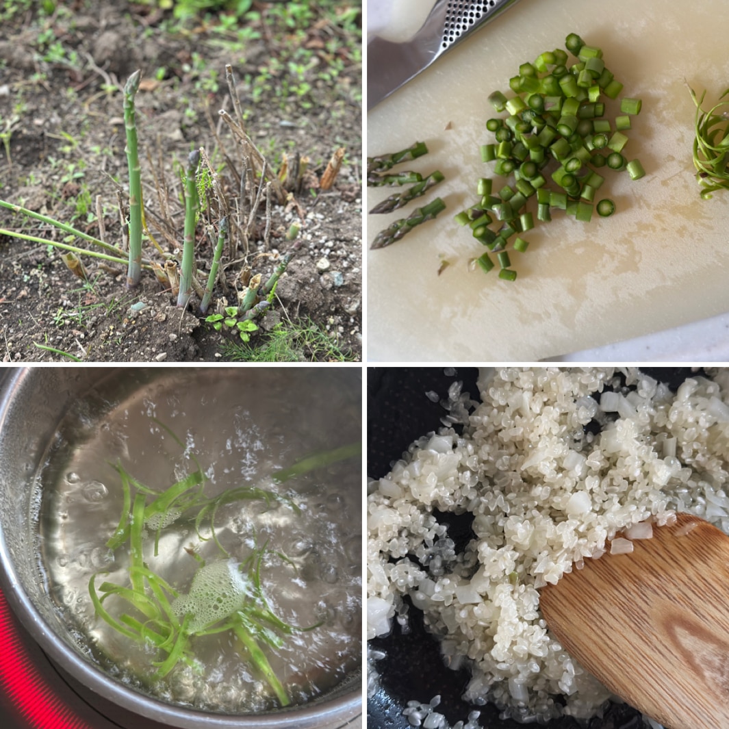 植松良枝 アスパラガスのリゾット 作り方