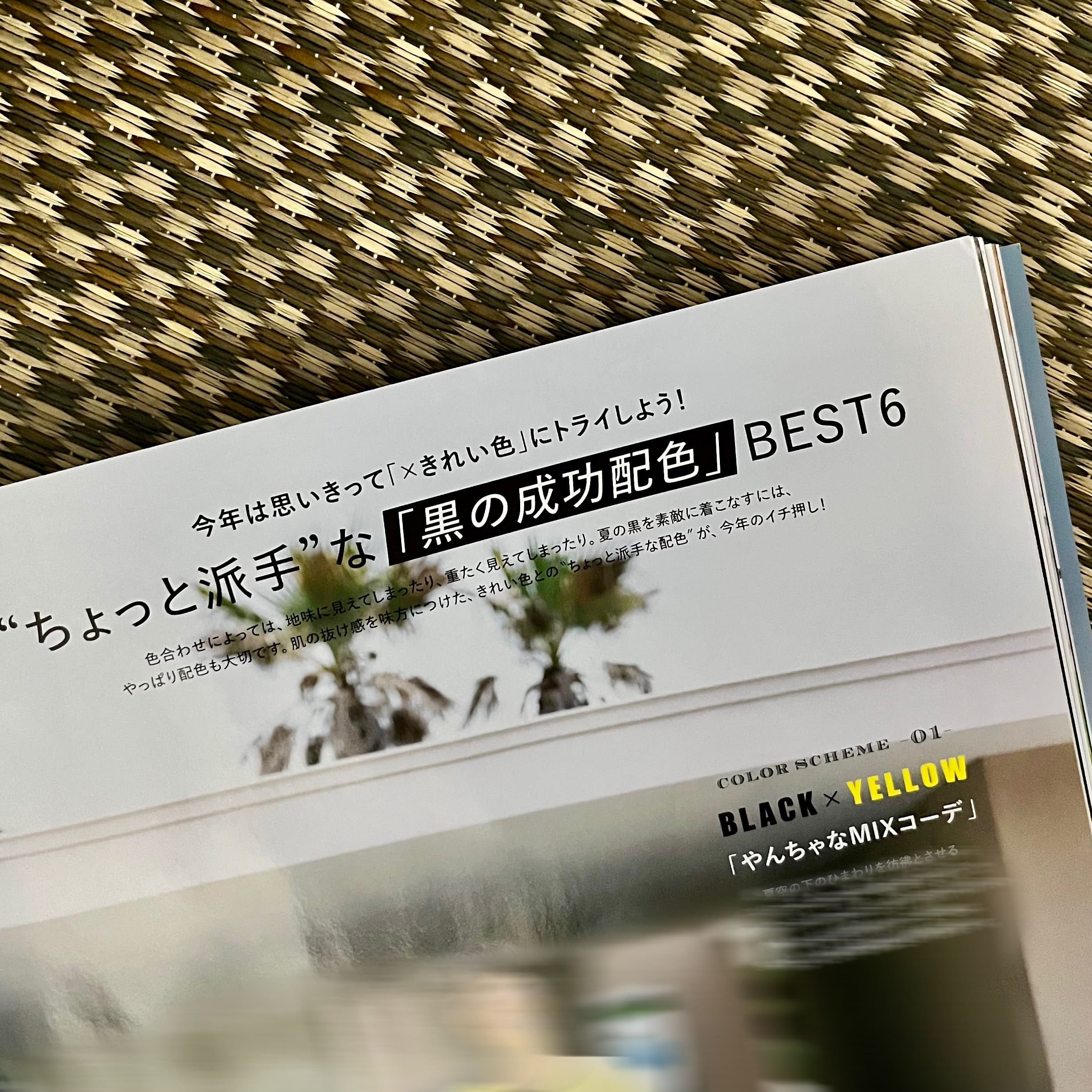 雑誌