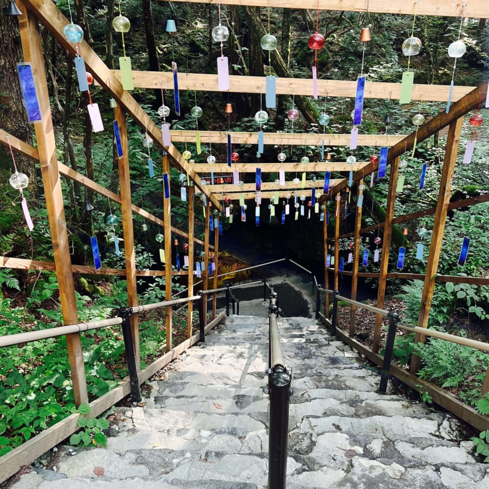 鳴沢氷穴・富岳風穴　富士樹海散歩　山梨県