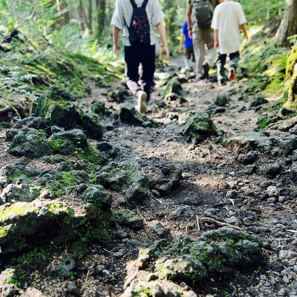 鳴沢氷穴・富岳風穴　富士樹海散歩　山梨県