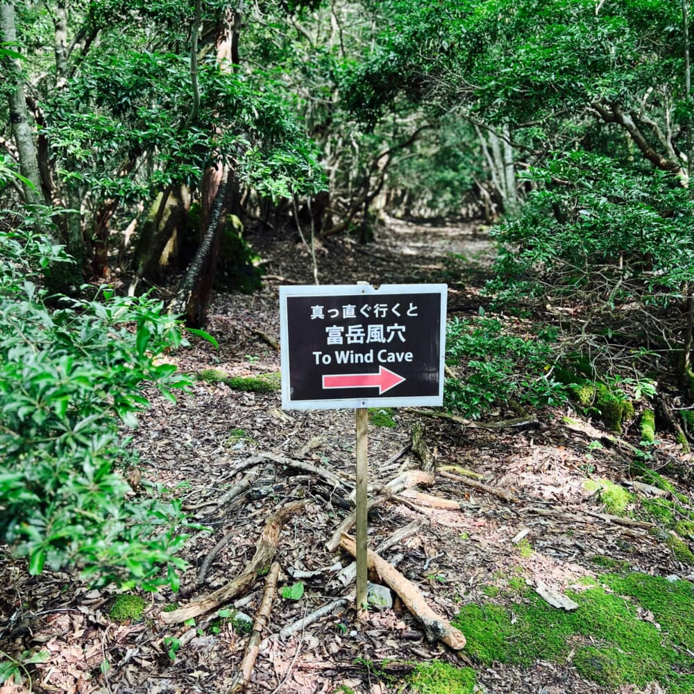 鳴沢氷穴・富岳風穴　富士樹海散歩　山梨県