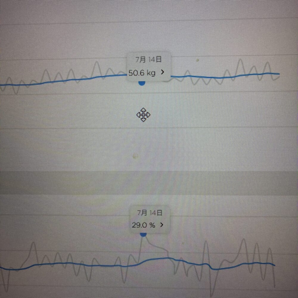 40代ダイエット 体重 体脂肪率
