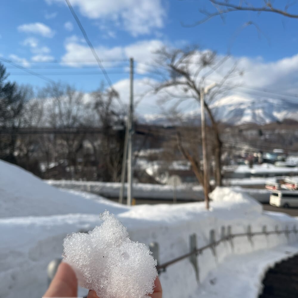 北海道 ニセコ 雪解け