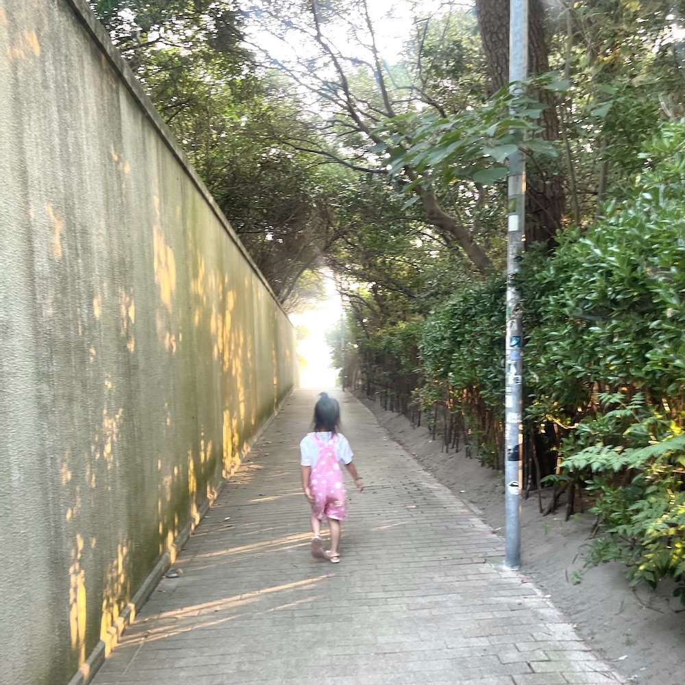 葉山 一色海岸 海 夏の海