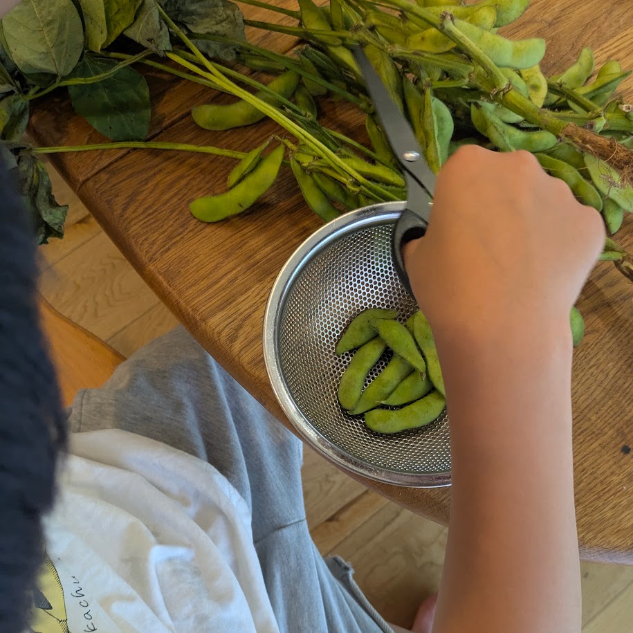 子供　枝豆　枝付き