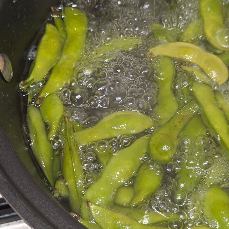 枝豆　塩茹で　畑の野菜