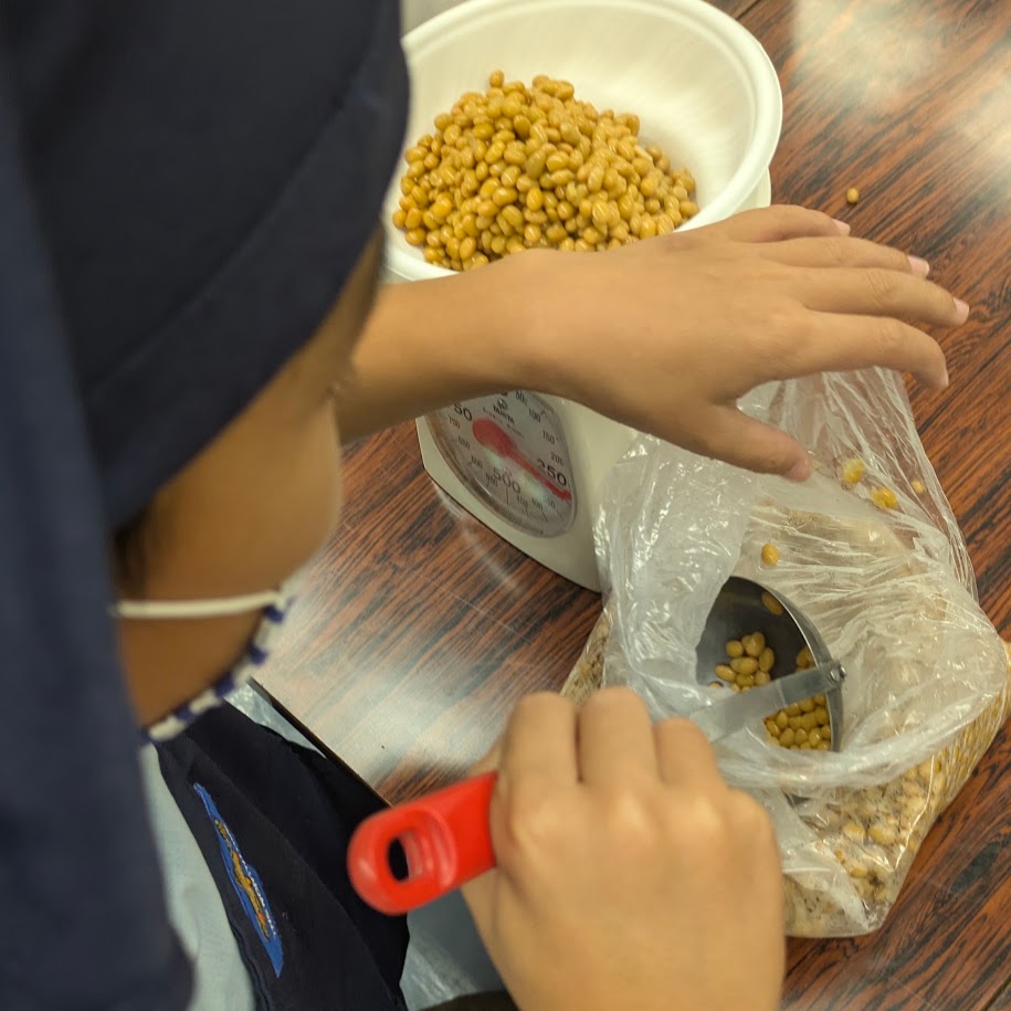 蒸し豆 計量 夏休み納豆作り教室