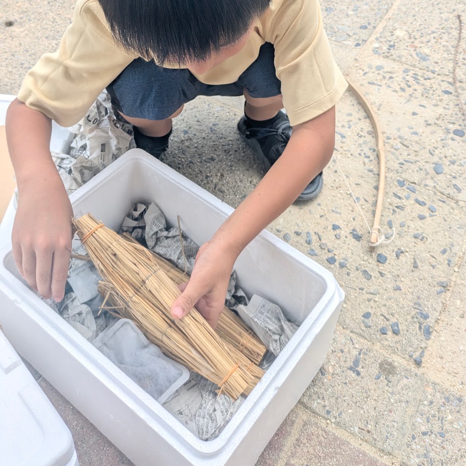 納豆 育てる子供 食育