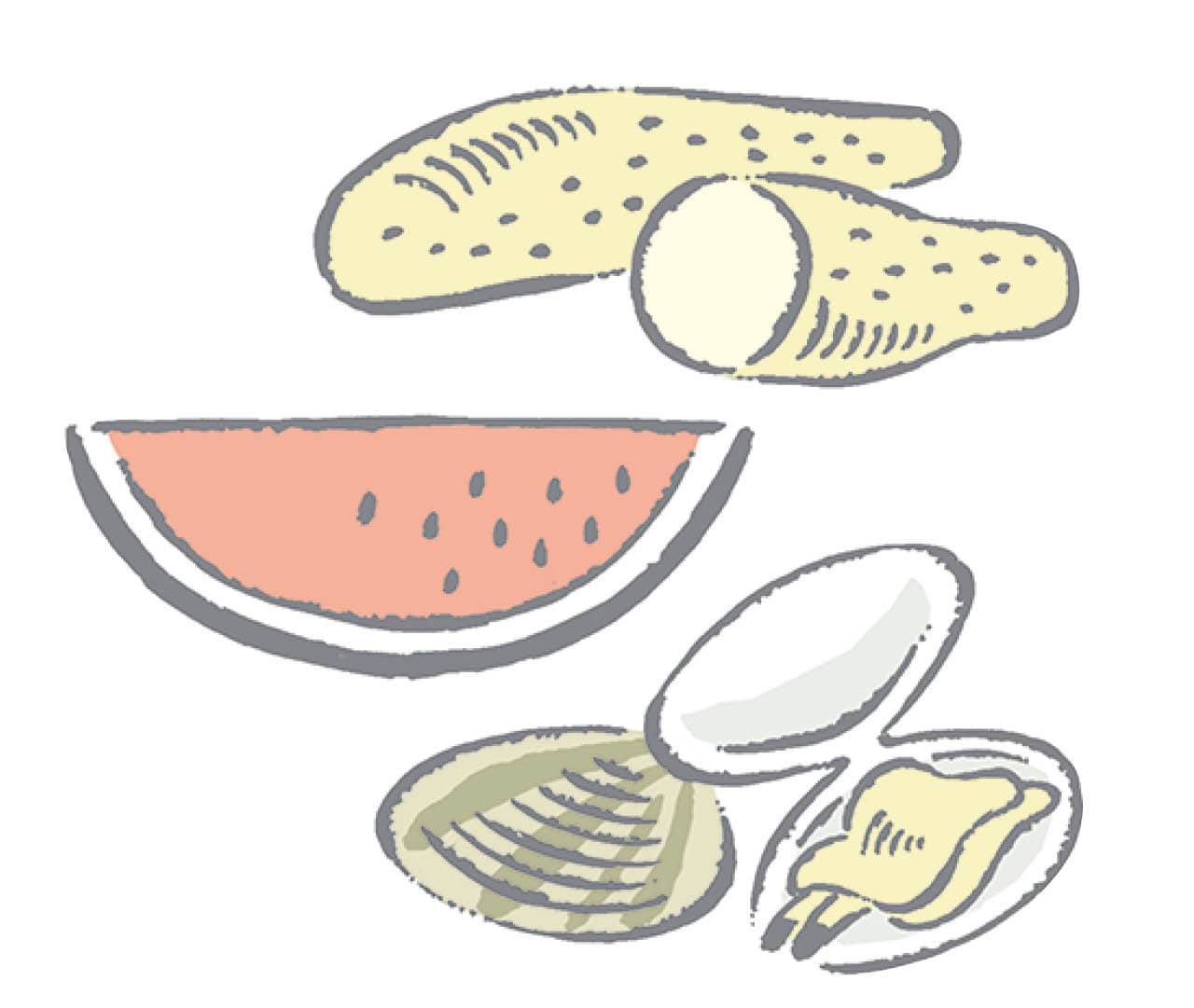 夏の養生おすすめ食材イラスト