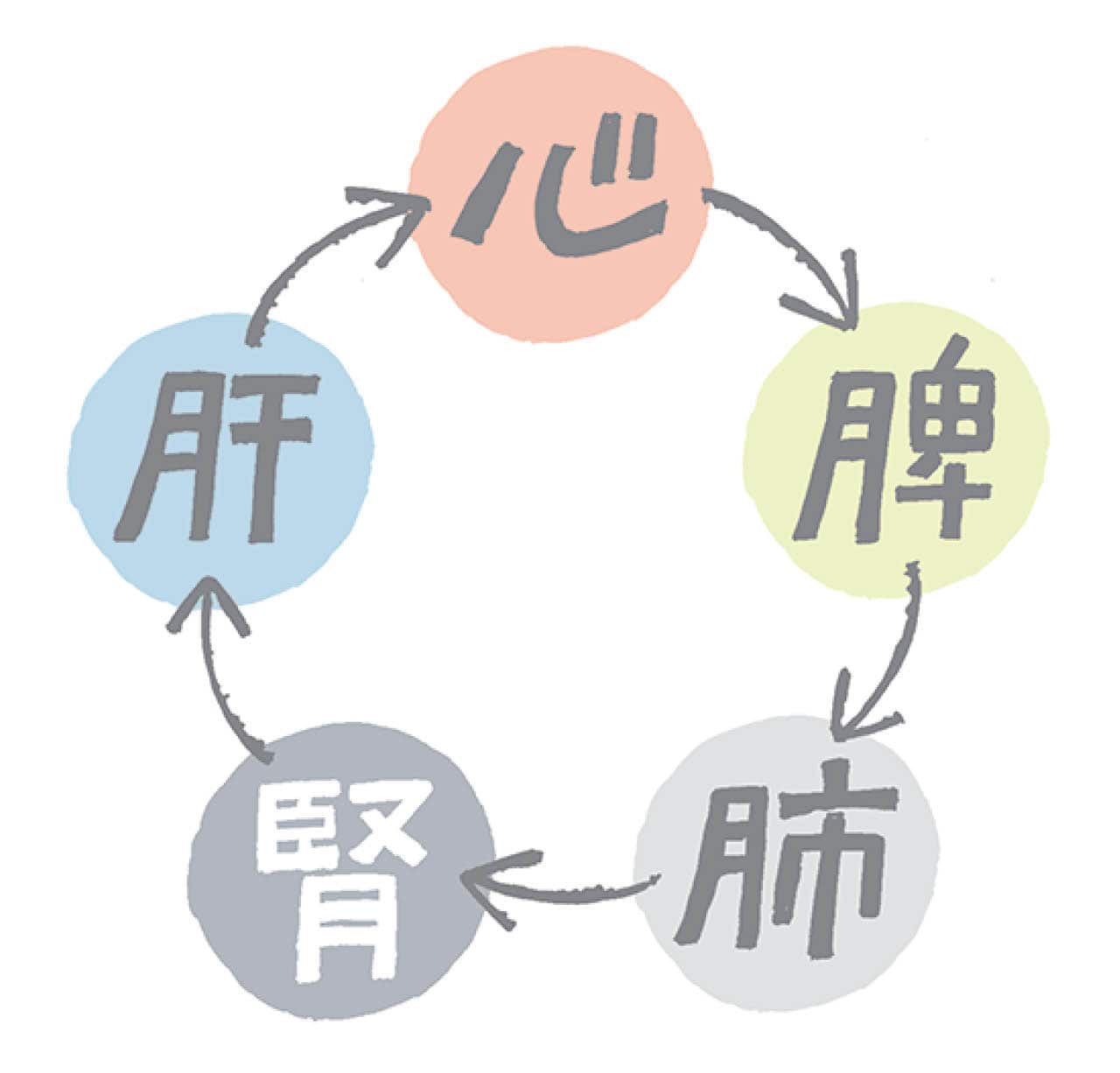 肝(かん)、心(しん)、脾(ひ)、肺(はい)、腎(じん)イラスト