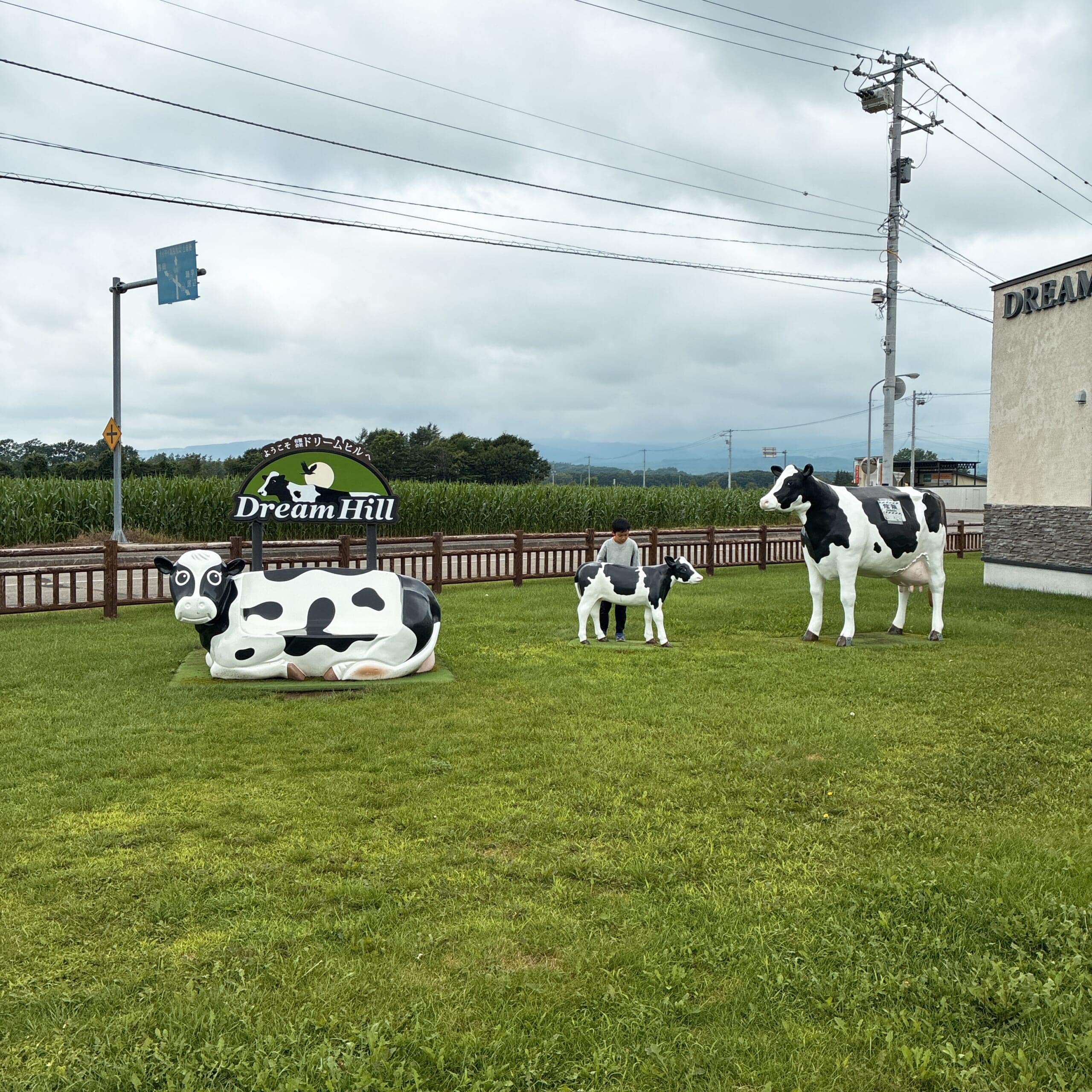 ドリームドルチェ DREAM DOLCE DREAM HILL 上士幌町 かみしほろ 北海道 十勝 ジェラート