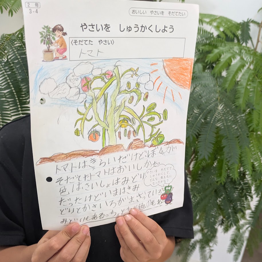こどもの絵日記　小２　ミニトマト