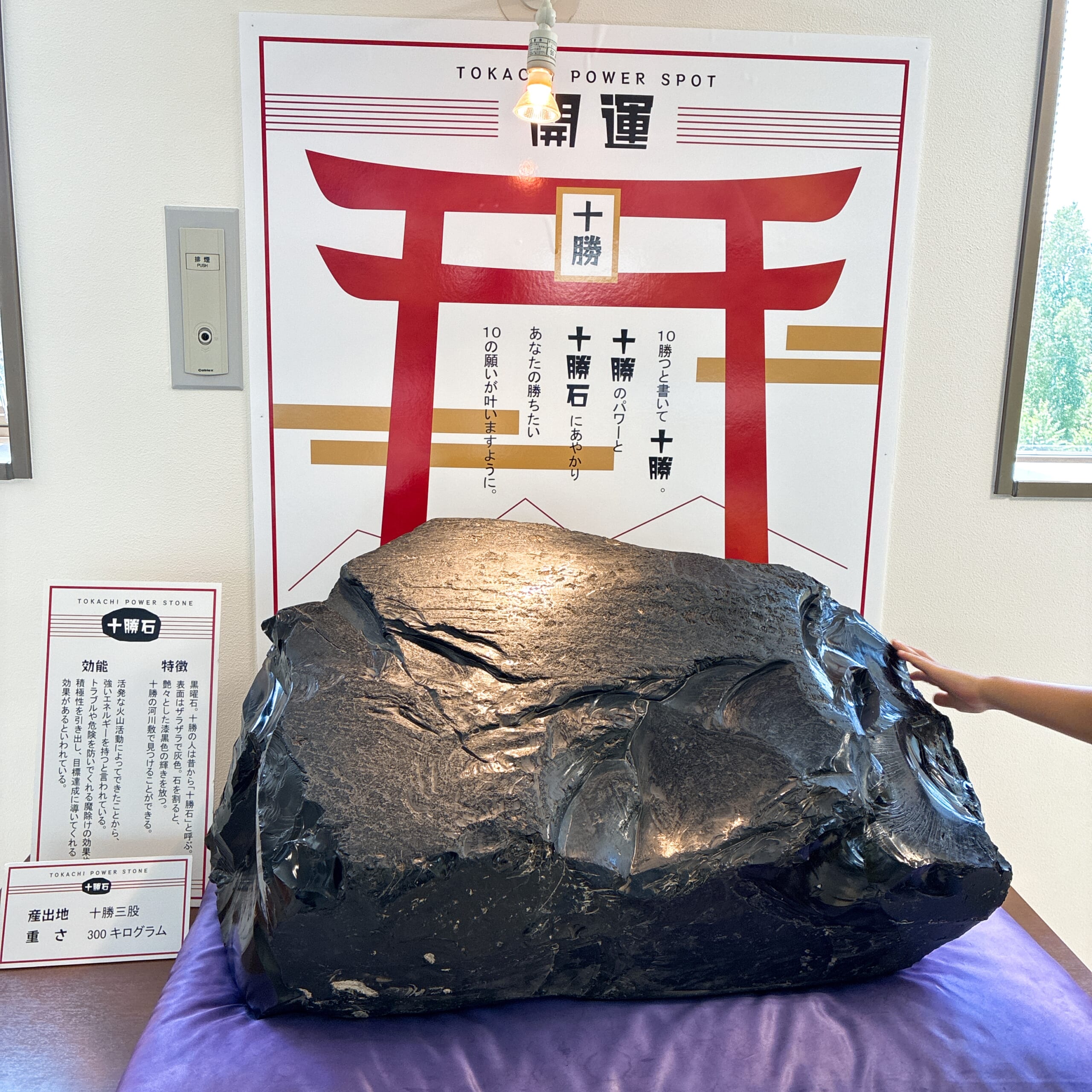 柳月 スイートピア・ガーデン 音更町 北海道