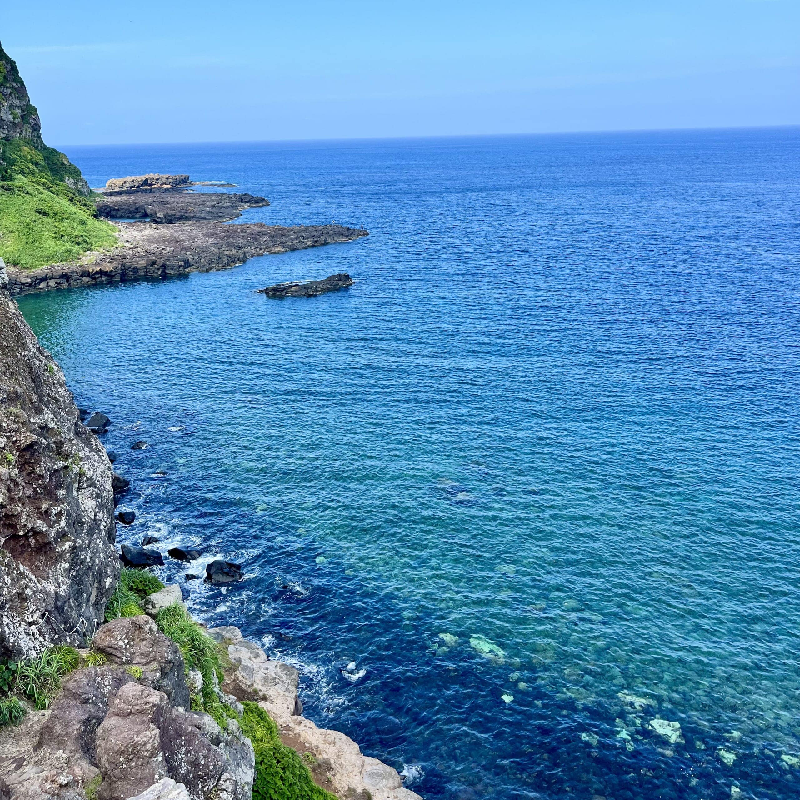 海