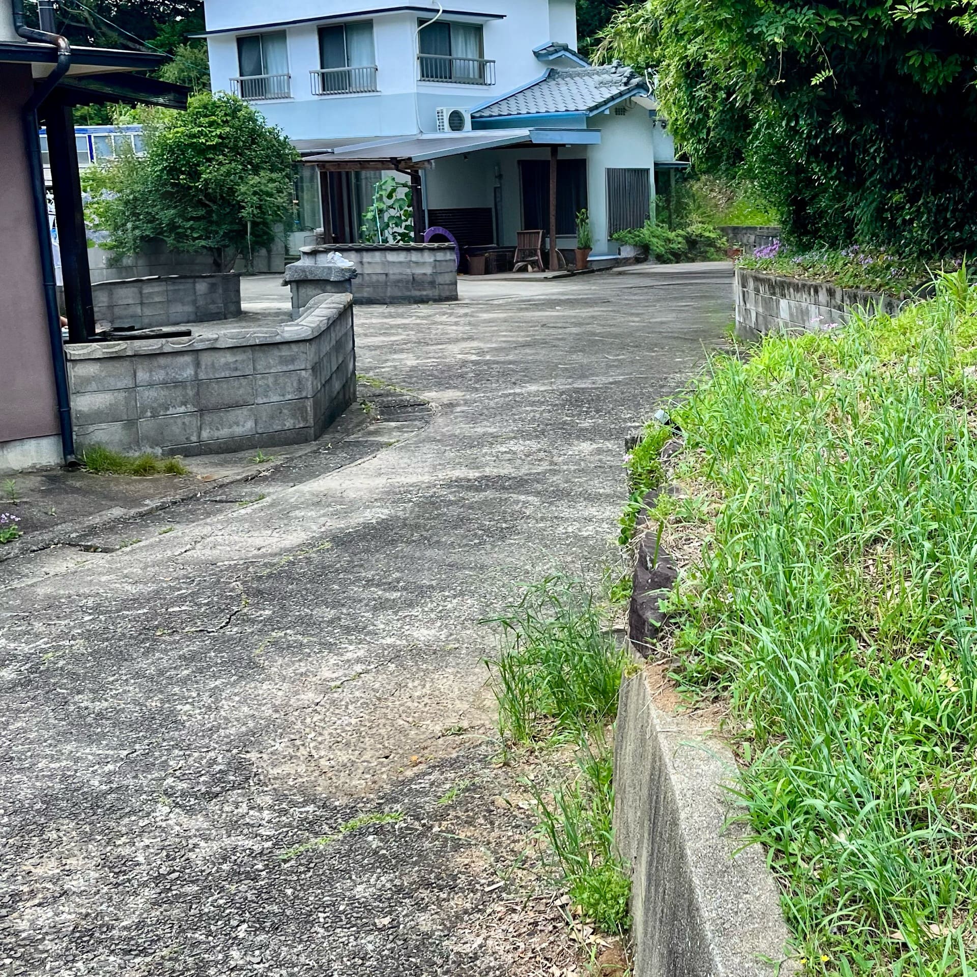 カフェ