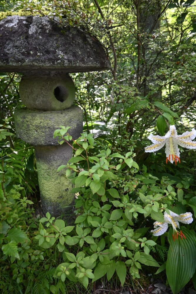 軽井沢 旅行 万平ホテル39