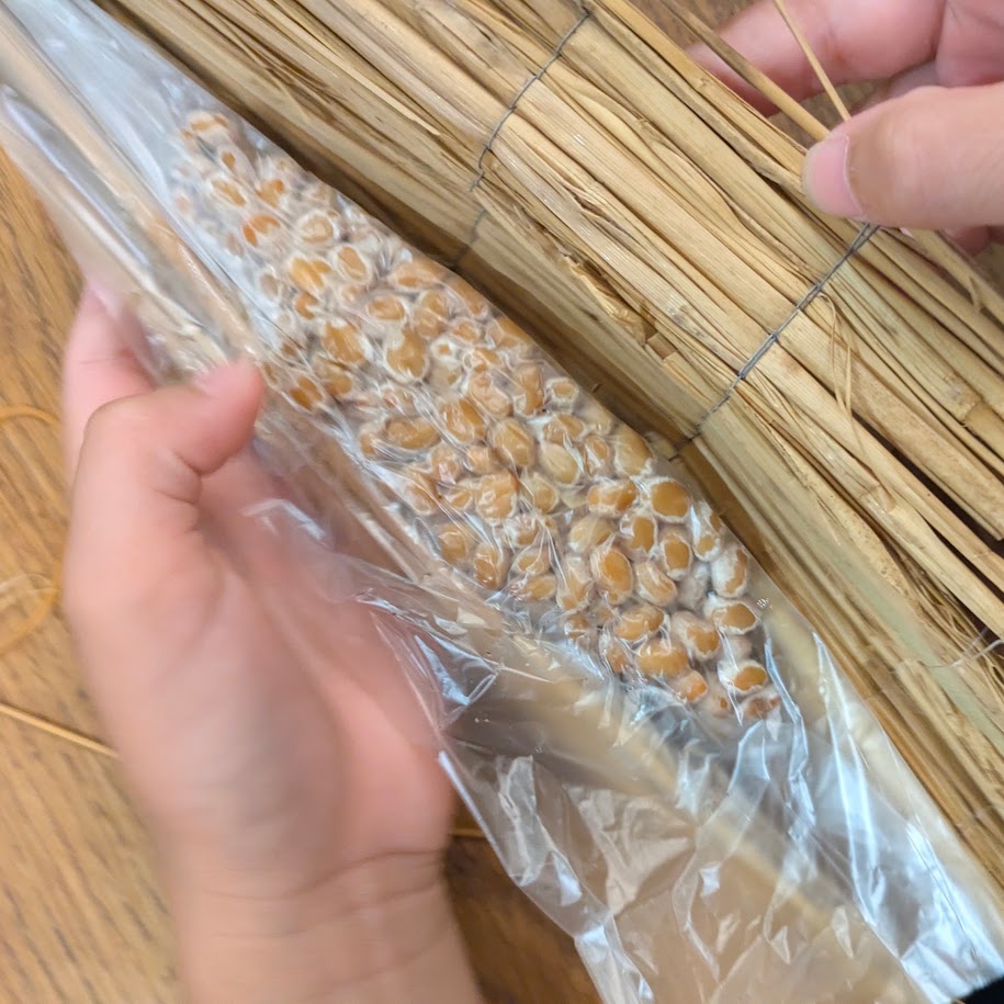 藁付き納豆 ご飯 手造り教室