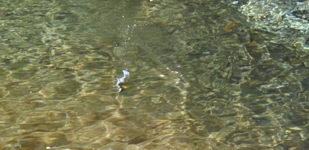 軽井沢 白糸の滝 ドライブ11