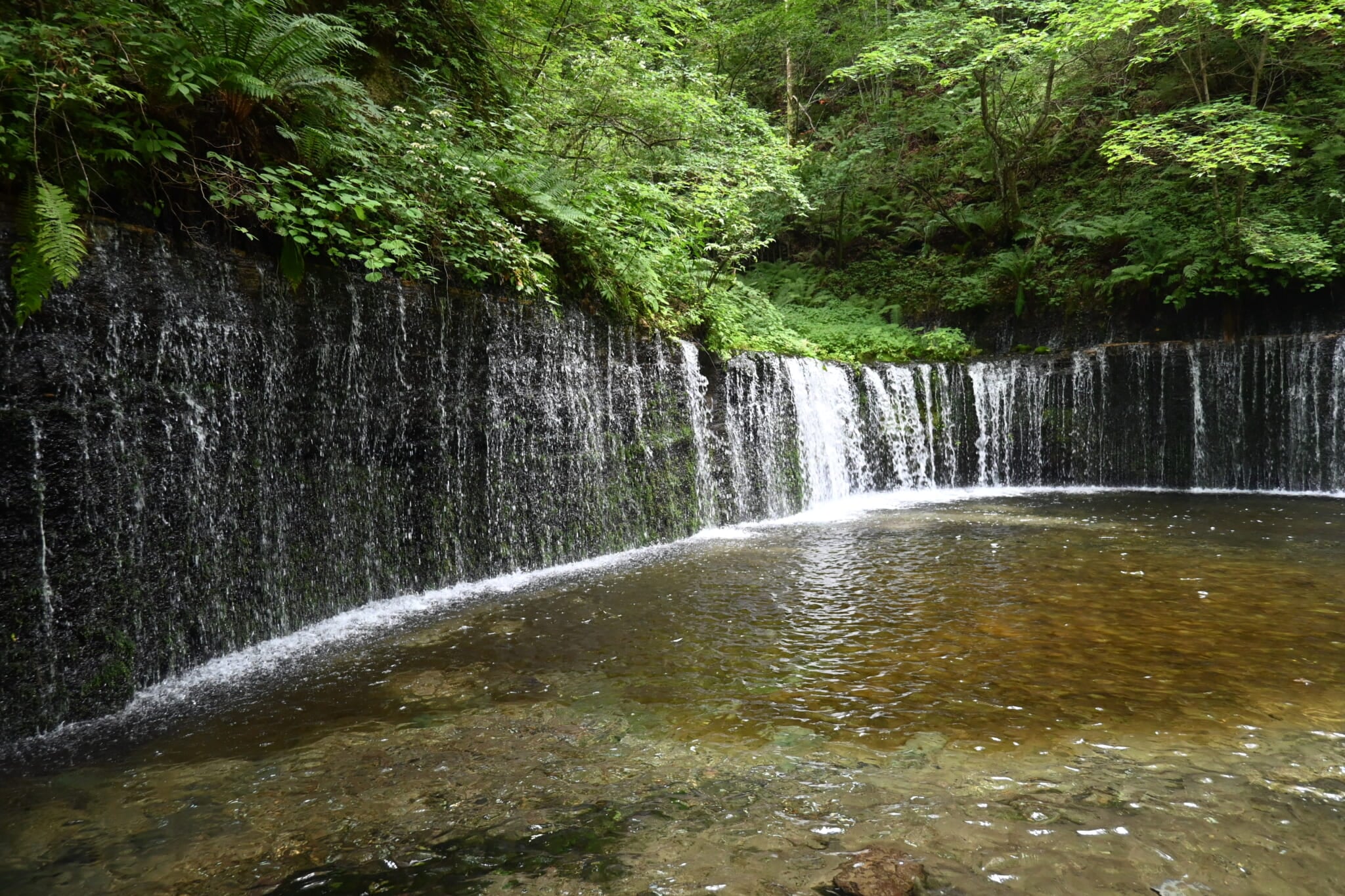 軽井沢　白糸の滝　ドライブ5