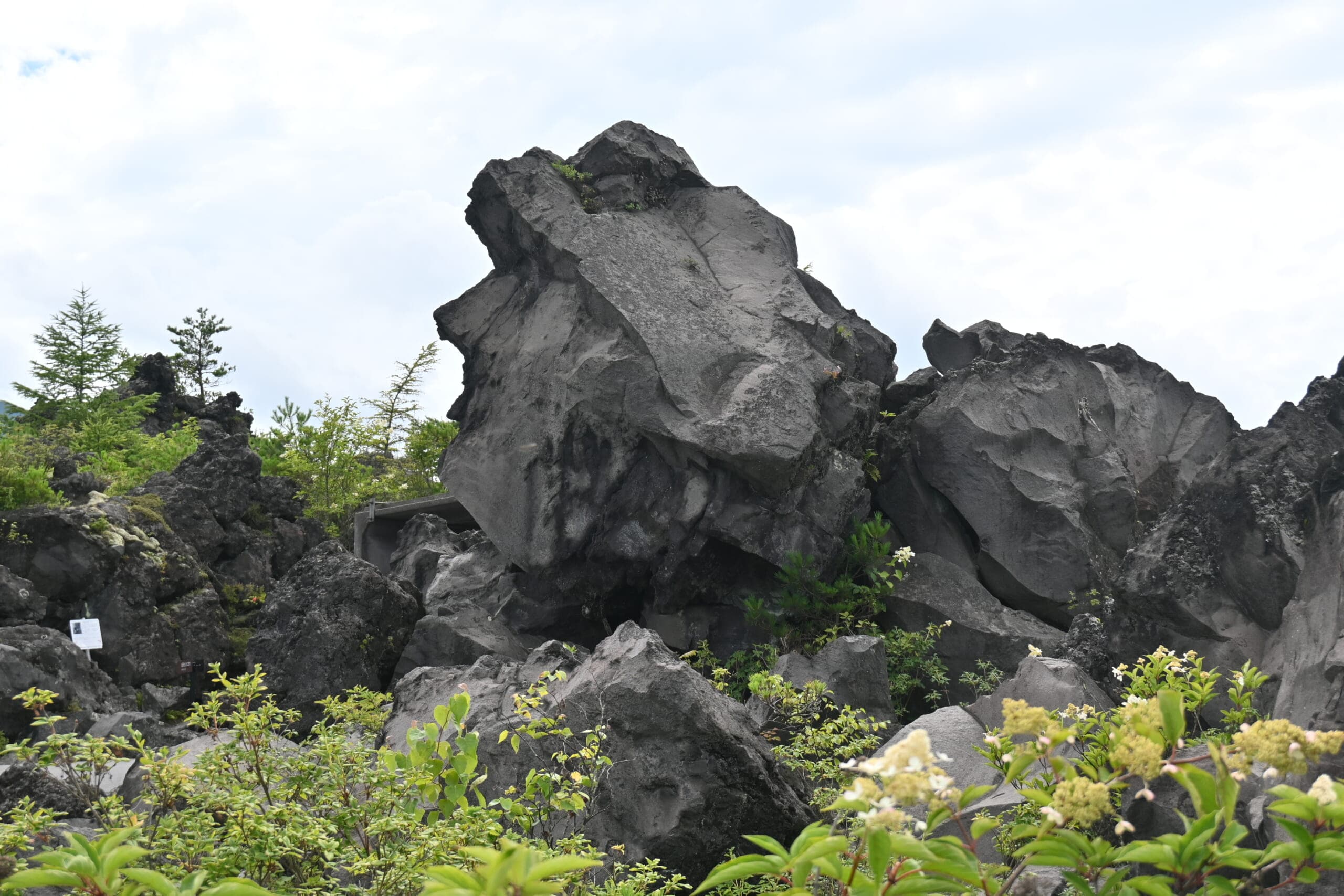 浅間山 鬼押出し園 観光6