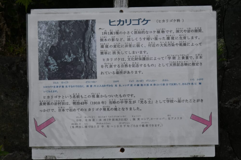 浅間山 鬼押出し園 観光7