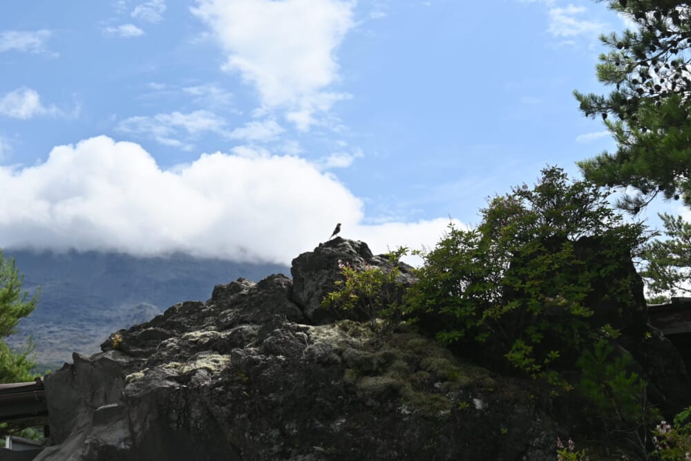 浅間山 鬼押出し園 観光9