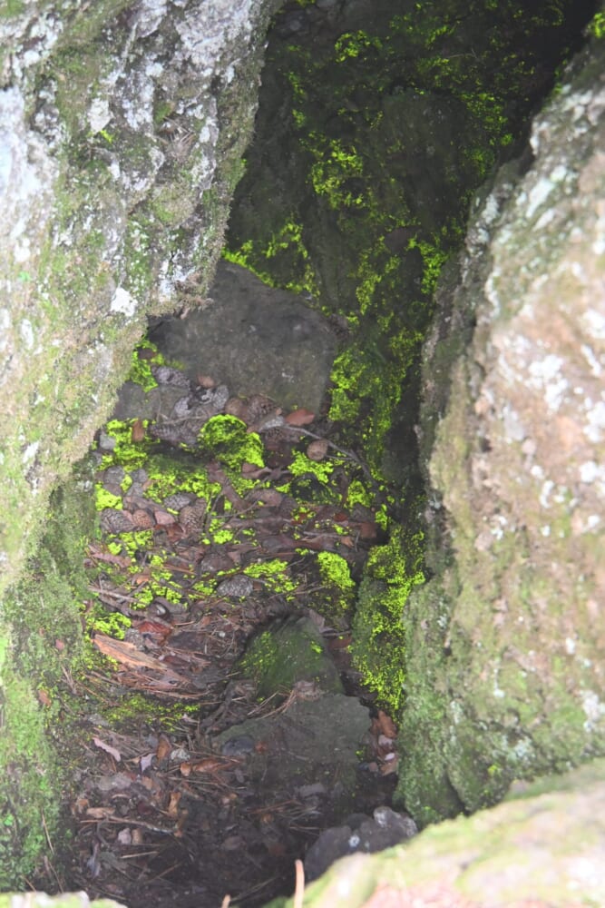 浅間山 鬼押出し園 観光8