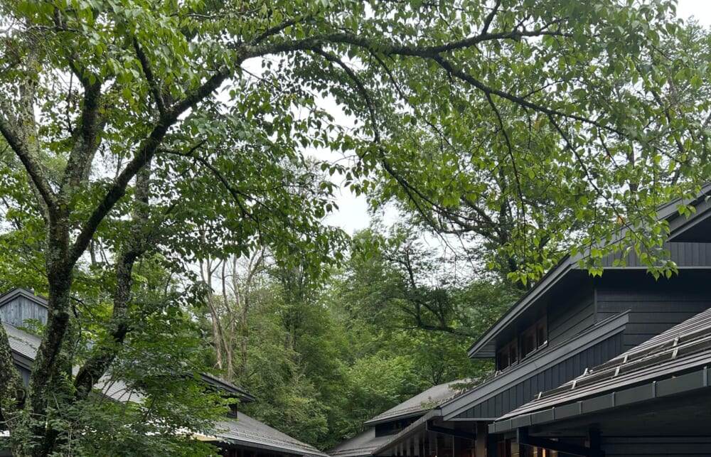 軽井沢　ハルニレテラス　星野エリア2